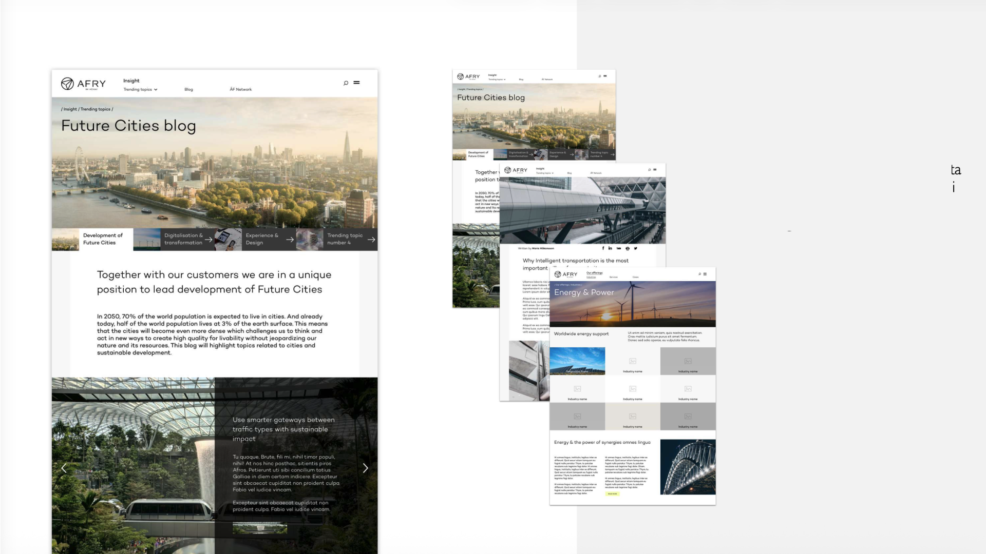 Unified service portfolio, Global & local websites for AFRY