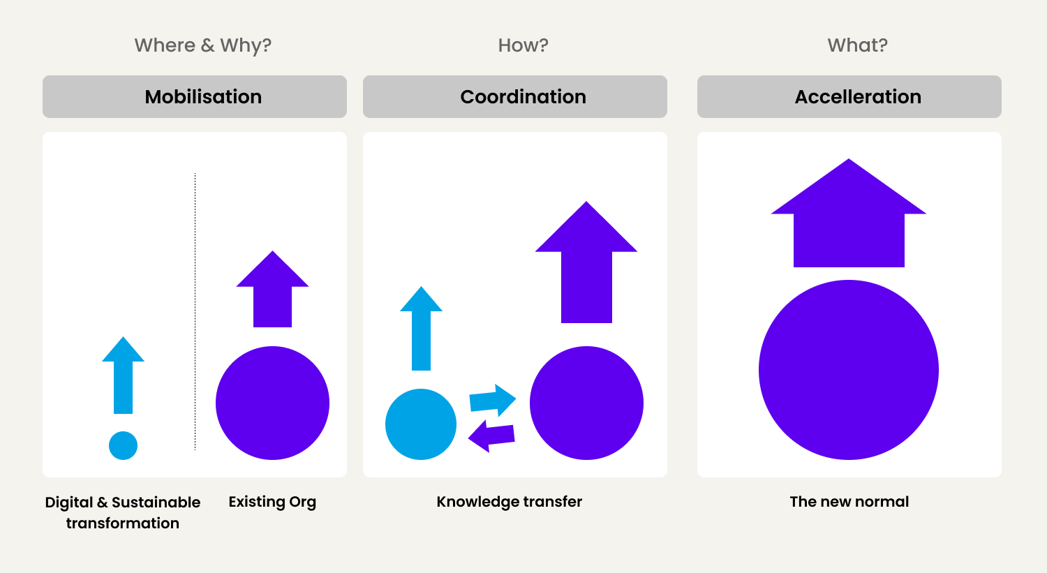 Digital transformation programs